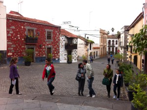 Gran Canarian north, Santa Brigida