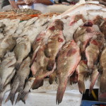 A view of Deira Fish Souq, Dubai