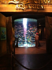 Atlantis the Palm