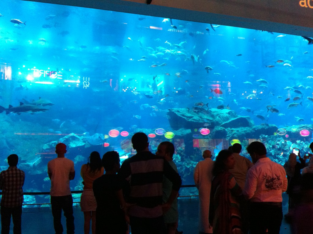 Aquarium at Dubai Mall Aquarium at Dubai Mall