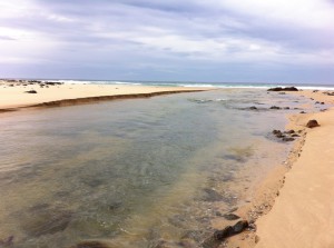 Betka Beach, Mallacoota