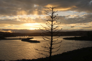 Evening light at Bermagui