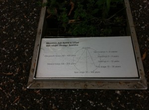 Explaning forest fires, Melbourne Museum