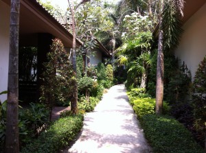 Hotel garden, Ko Samet