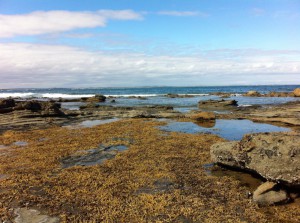 Low tide at Bunurong