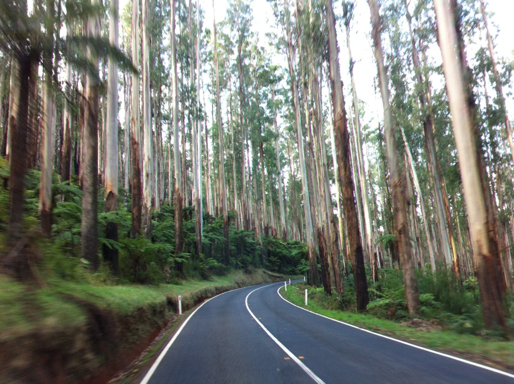 Melbourne: Yarra Valley and Dandenong Ranges Drive - Routes and Trips