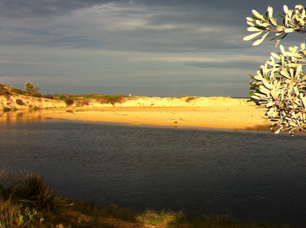 Sand dunes, Australia South East Coast Drive Sand dunes, Australia South East Coast Drive