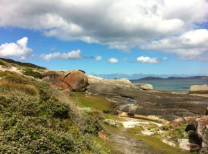 Walking track to Squeaky Beach, Wilsons Promontory