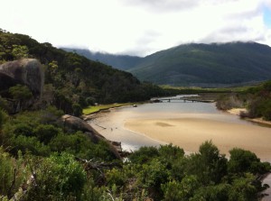 Tidal River