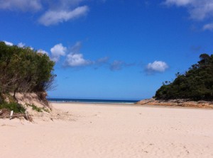 Tidal River and the beach