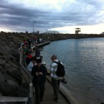 Waiting for the penguins
