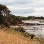 A view of Churchill Island