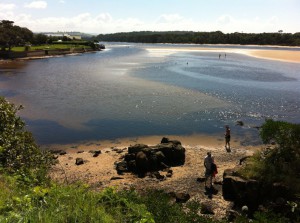 A view of Minnamurra river