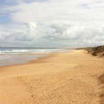 A view of Phillip Island