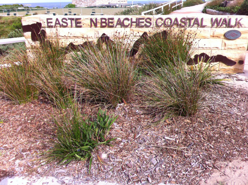 Bondi to Coogee Coastal Walk, Sydney Bondi to Coogee Coastal Walk, Sydney