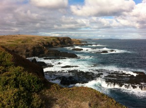 A view of Phillip Island