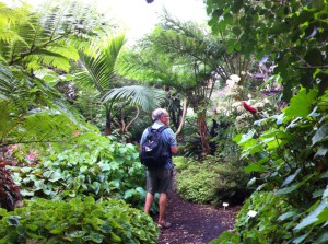 A view of the Botanic Gardens, Sydney