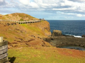 The Nobbies broadwalk, Phillip Island