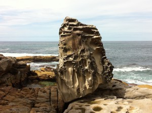 View of the Bondi to Coogee coastal walk, Sydney