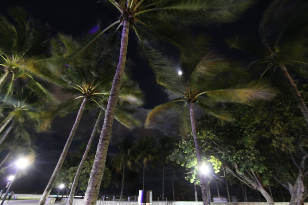 Lummus Park, Miami