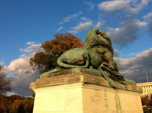 A lion, Capitol Grounds, Washington DC