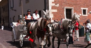 Horses and a carriage, Krakow Old Town