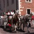 Horses and a carriage, Krakow Old Town
