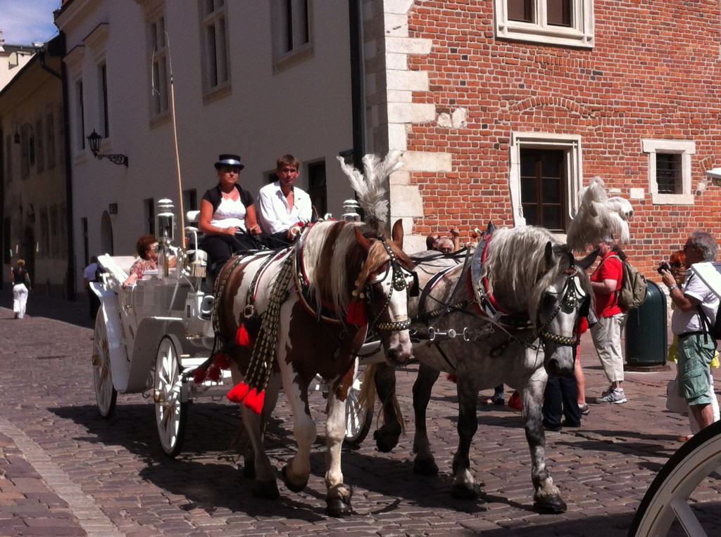 Horse and carriage in Krakow Old Town Horse and carriage in Krakow Old Town