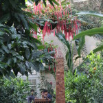 US Botanic Garden, Washington DC