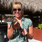 Alligator baby, Miccosukee Village, Florida