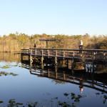 Anhinga Trail, walking trails in the Everglades
