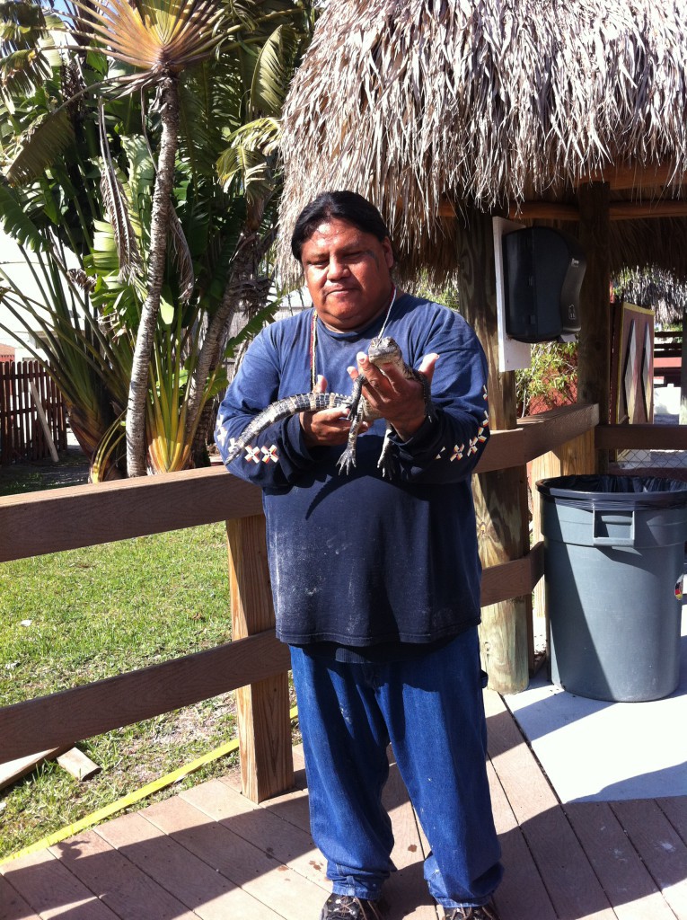 Alligator baby, Miccosukee alligator show Alligator baby, Miccosukee alligator show