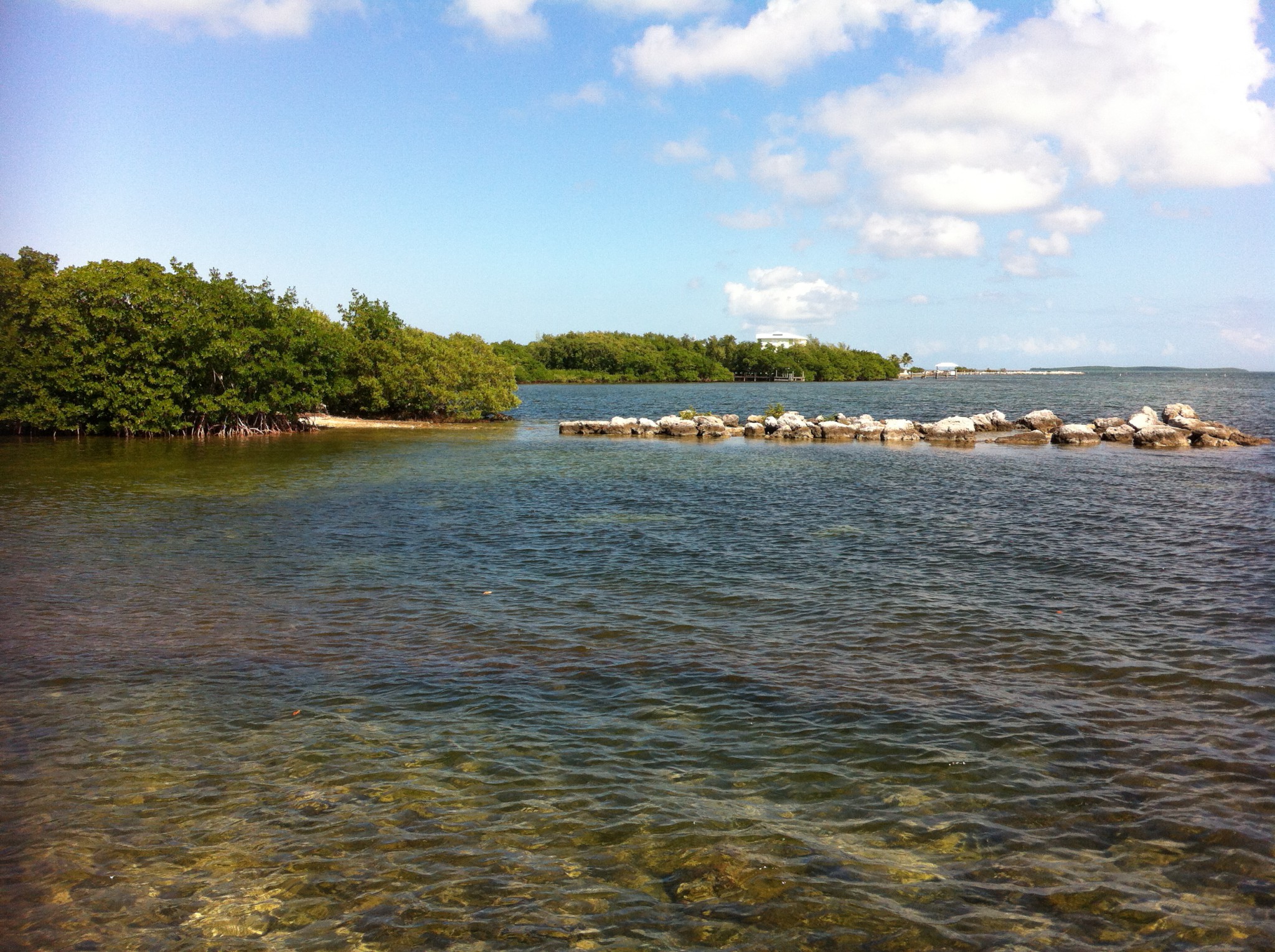Florida Key hammock and sea Beach of Ocean Point Suites, Florida Keys