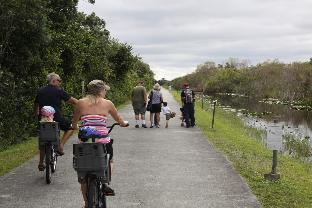 Everglades National Park Day Trip to Shark Valley Routes and Trips