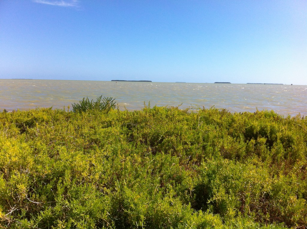 The Gulf of Mexico seen from Flamingo, Everglades The Gulf of Mexico seen from Flamingo, Everglades