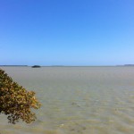 Gulf of Mexico seen from Flamingo, Everglades