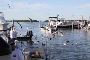 Harbor, Islamorada, Florida Keys