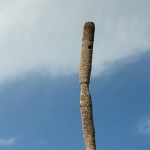 Nature in Flamingo, the Everglades