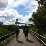 Observation tower, Shark Valley, the Everglades