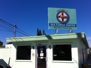 Sea Turtle Center, Marathon, Florida Keys