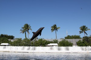 Theater of the Sea, Islamorada, Florida Keys