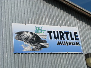 Turtle Museum, Key West