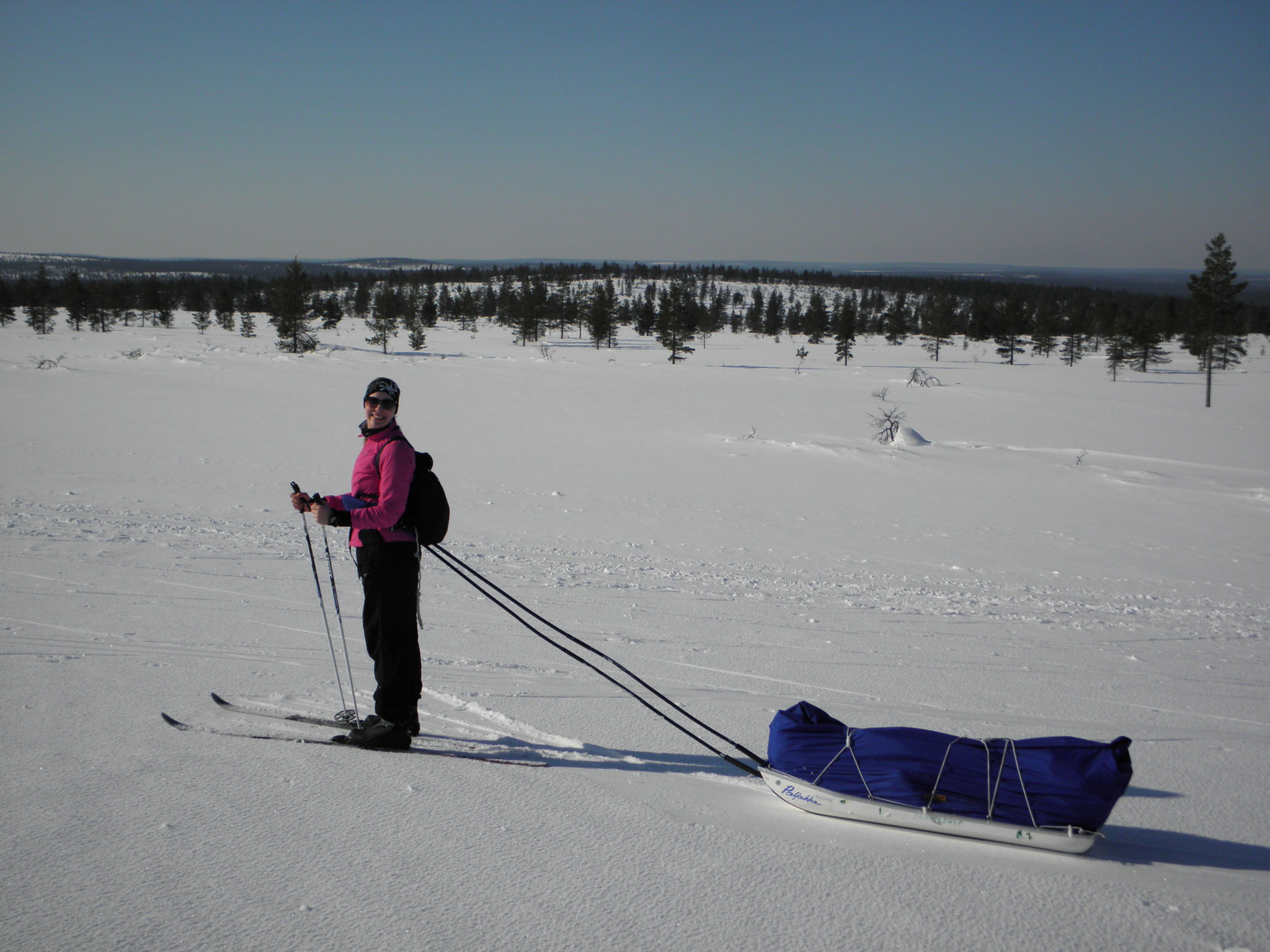 Skiing with a pulkka in Lapland Skiing with a pulkka in Lapland