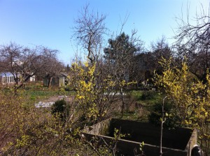 Garden plots, Gdansk