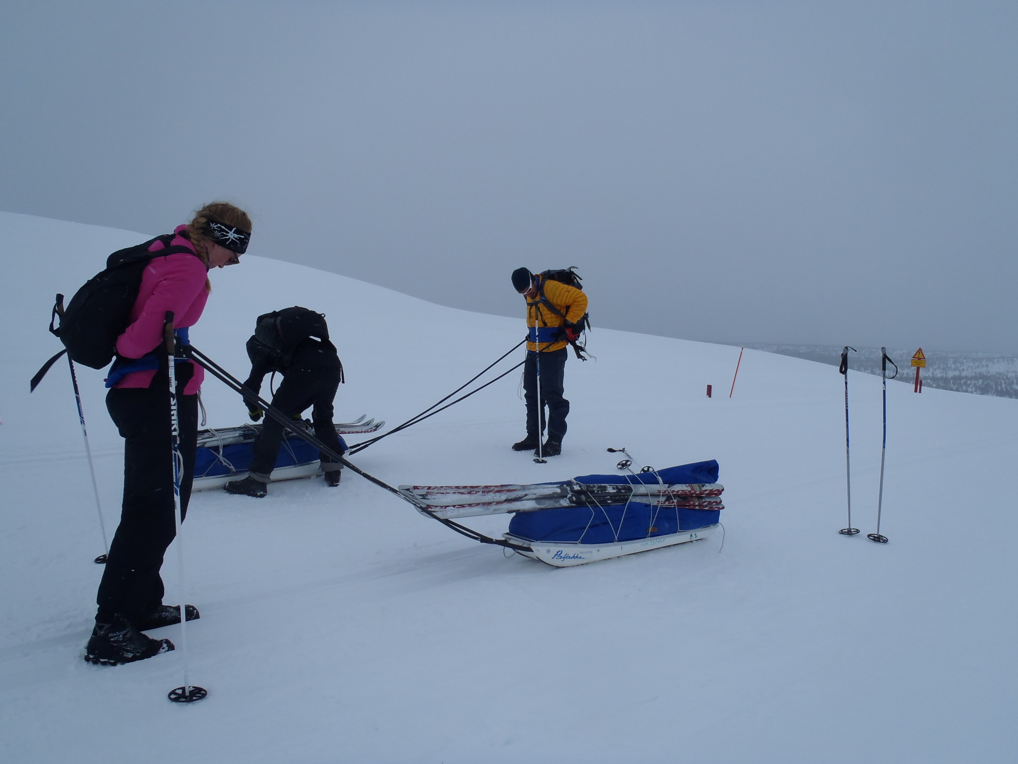 Skiing with a pulkka in Kiilopää Skiing with a pulkka in Kiilopää