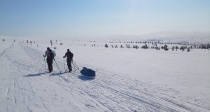 Skiing in sunshine
