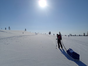 Skiing with the Pulkka in Lapland