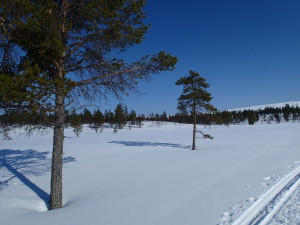 Suomunruoktu, Lapland