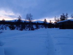 Tuiskukuru
