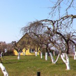 View of Wicko, Poland